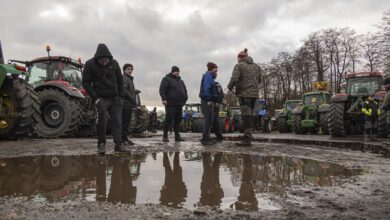 Photo of Это сигнал к боксерскому поединку: латвийские фермеры шокированы новым предложением ЕК
