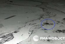 Photo of ВС России уничтожили пункт дислокации наемников в Запорожской области