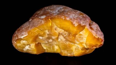 Photo of В Калининграде добыли янтарный самородок