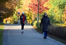 Photo of Золотая осень в городе: как выглядит Вильнюс в октябре