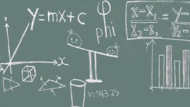 Photo of В классе 23 украинца и один эстонец: как нацполитика мешает учиться титульной нации