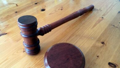 Photo of Омбудсмен: институт сиротских судов устарел