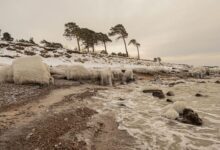 Photo of Ледяные «скульптуры» и Балтийское море: зимние виды Лиепаи в 2026 году