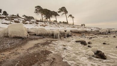 Photo of Ледяные «скульптуры» и Балтийское море: зимние виды Лиепаи в 2026 году