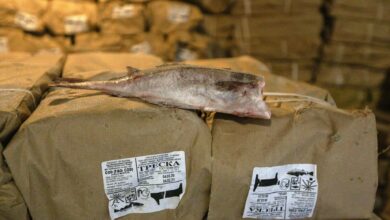 Photo of Латвия пока не может закрыть российской рыбе дорогу в ЕС