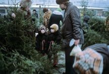 Photo of Как в Эстонии праздновали Рождество и Новый год во времена СССР