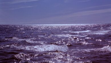 Photo of Балтийское море «забито» микропластиком, но на очереди проблема посерьезнее