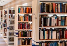 Photo of Юрист требует извинений за повышенную ставку НДС на книги на русском и готов судиться