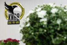 Photo of KNAB получило девять сигналов о возможных нарушениях предвыборной агитации