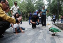Photo of Фото: как проходит ЧМ по футболу-2026